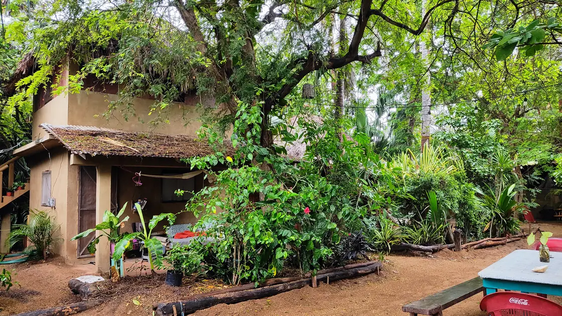 Cabaña rústica con techo de palma en ambiente tropical